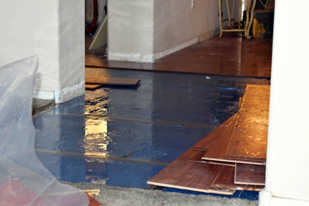 Professional Basement Water Removal technician working in Forestdale, MA
